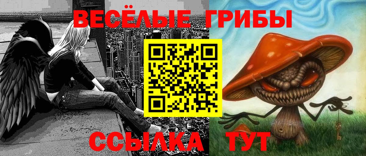 Знаменск  Псилоцибиновые грибы ЛСД  Вход с VPN 
